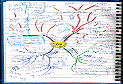 an ark with a mind map